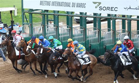 sorec programme jeux hippiques.